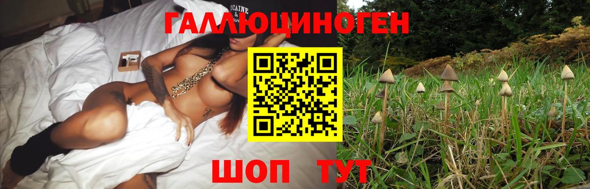 Псилоцибиновые грибы Magic Shrooms  Вход с VPN  Жуковский  где купить наркоту  Галлюциногенные грибы ЛСД 
